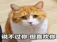 海口甘铵五金有限责任公司