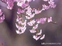 海口甘铵五金有限责任公司