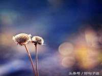 海口甘铵五金有限责任公司