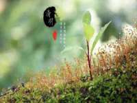 海口甘铵五金有限责任公司