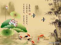 海口甘铵五金有限责任公司
