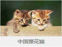 海口甘铵五金有限责任公司