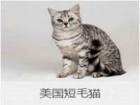 海口甘铵五金有限责任公司