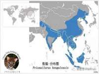 海口甘铵五金有限责任公司