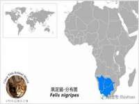 海口甘铵五金有限责任公司