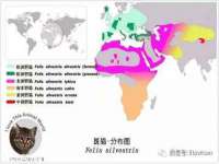 海口甘铵五金有限责任公司