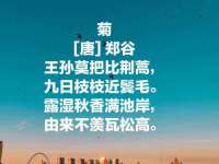 海口甘铵五金有限责任公司