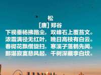 海口甘铵五金有限责任公司
