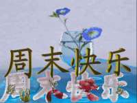 海口甘铵五金有限责任公司