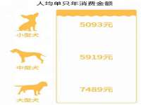 海口甘铵五金有限责任公司