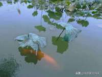 海口甘铵五金有限责任公司