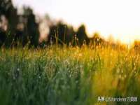 海口甘铵五金有限责任公司