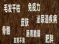海口甘铵五金有限责任公司