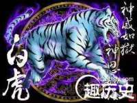 海口甘铵五金有限责任公司