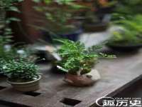 海口甘铵五金有限责任公司