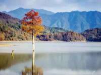 海口甘铵五金有限责任公司