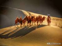 海口甘铵五金有限责任公司