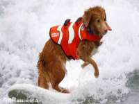 海口甘铵五金有限责任公司