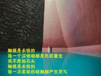海口甘铵五金有限责任公司