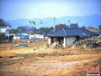 海口甘铵五金有限责任公司